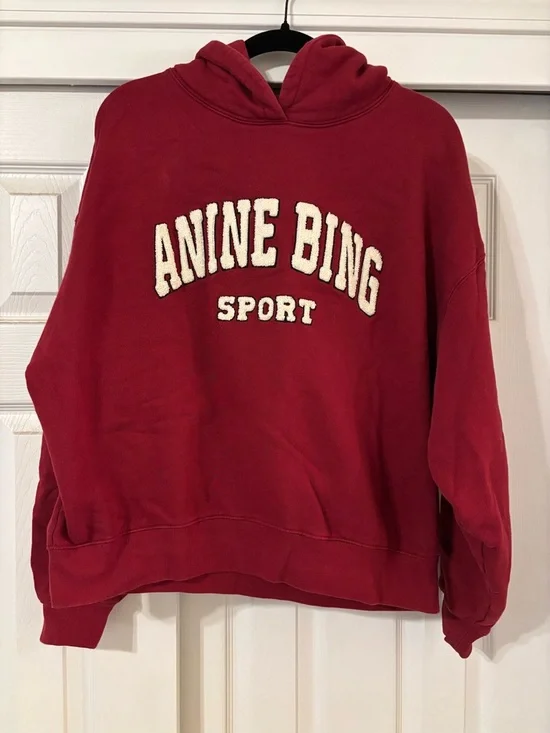Anine Bing Sport Hoodie - Picture 2 of 3